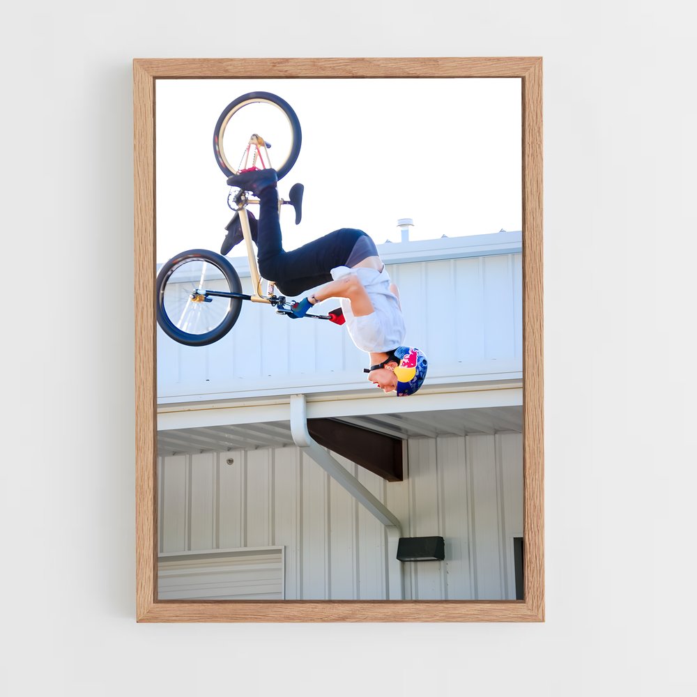 Poster Freestyle BMX (vue 4)